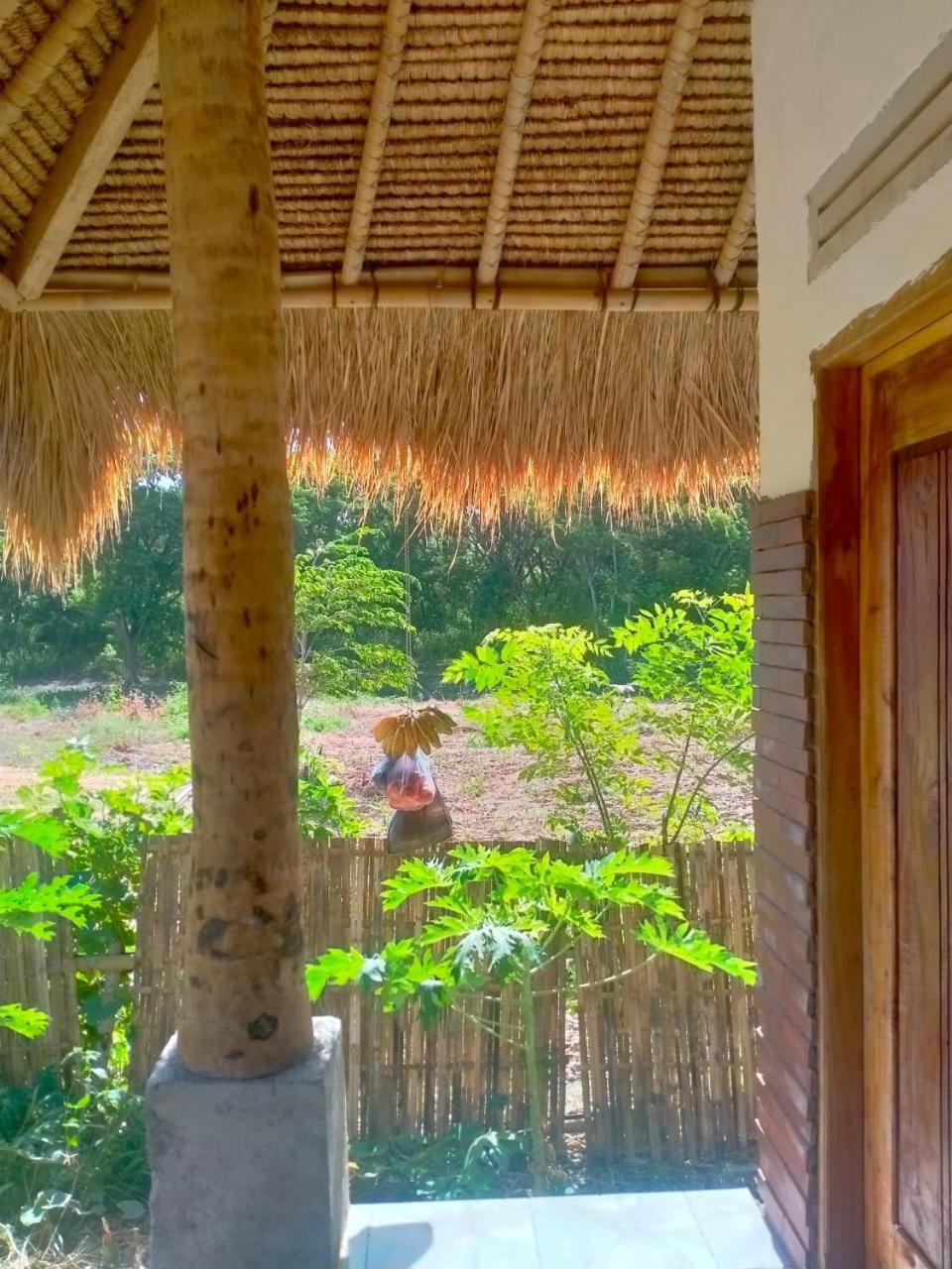 Melody Surf - Ekas Lombok Hotel Kültér fotó
