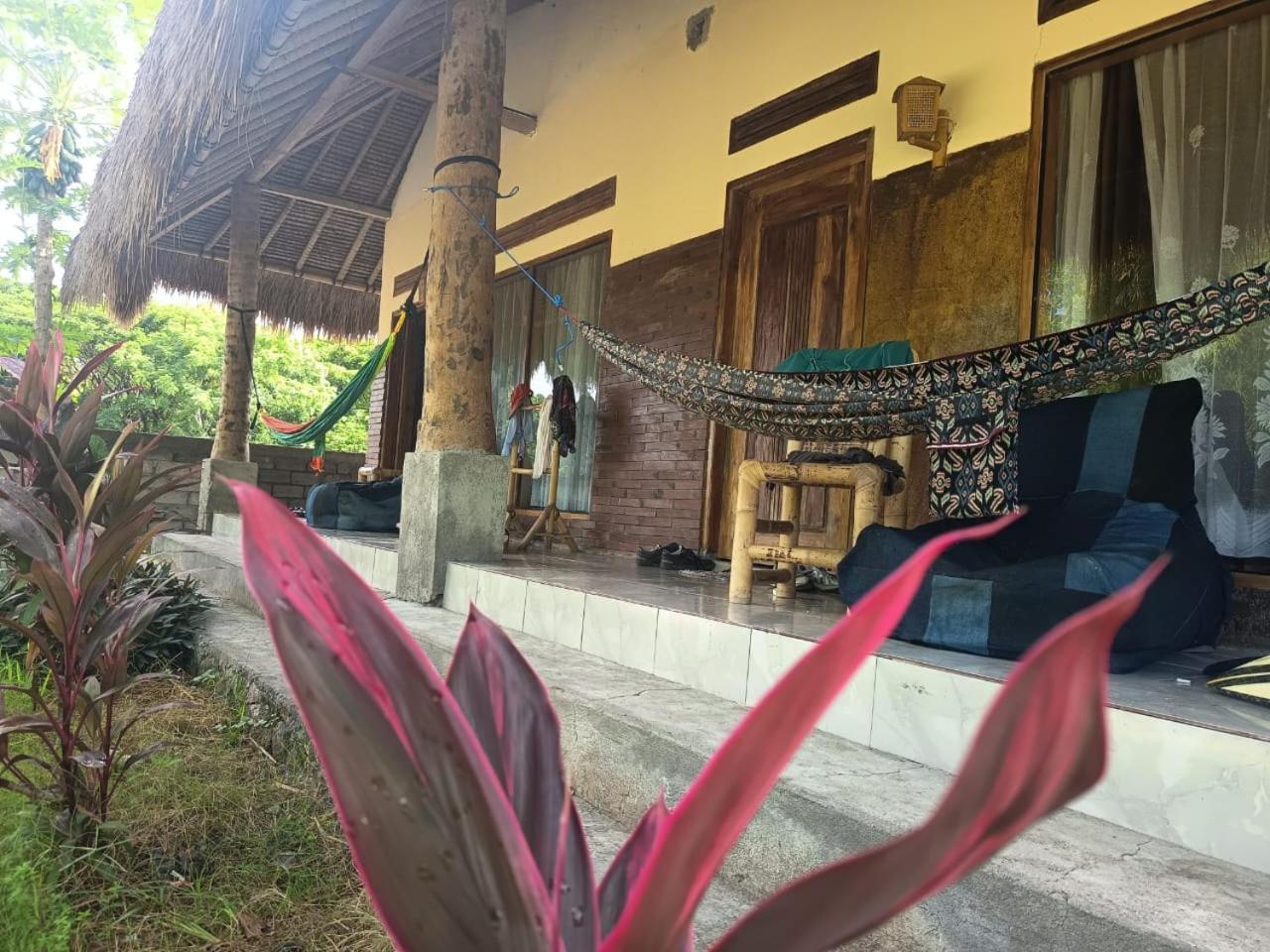 Melody Surf - Ekas Lombok Hotel Kültér fotó