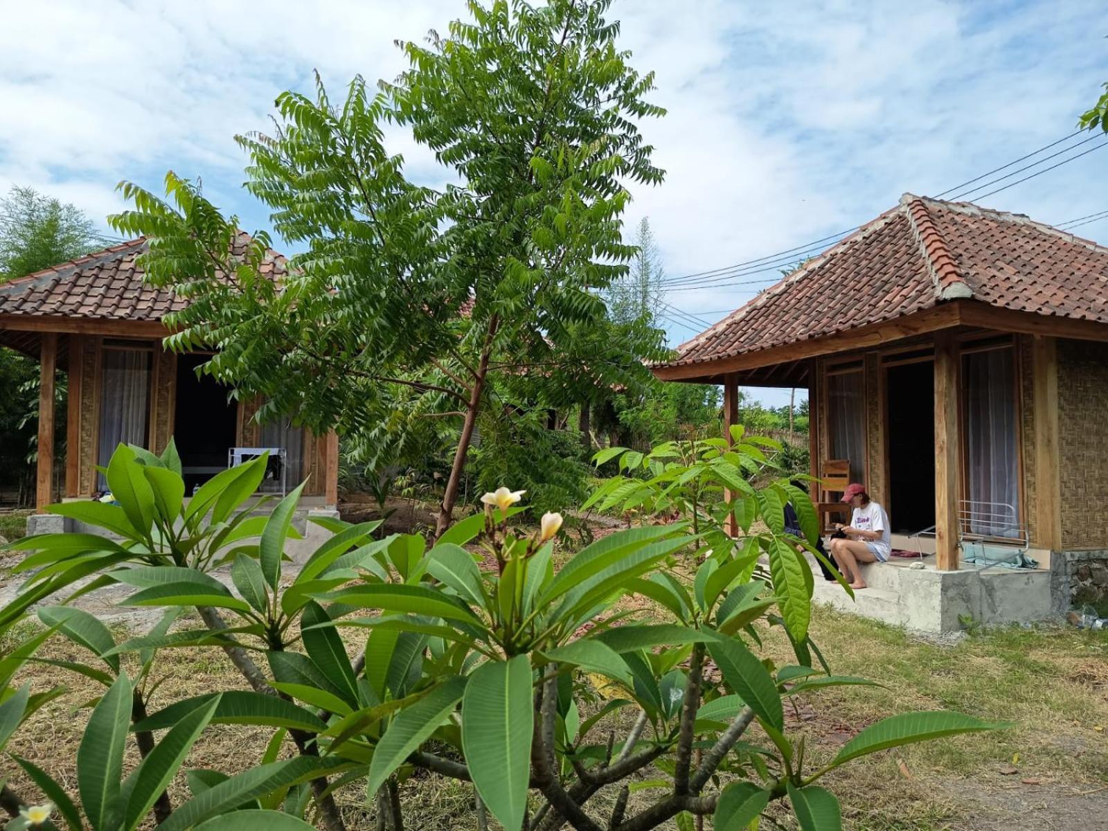 Melody Surf - Ekas Lombok Hotel Kültér fotó